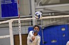Volleyball vs RWU  Wheaton Women’s Volleyball vs Roger Williams University. : Volleyball, VB